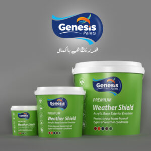 Genesis Premium Weather Shield