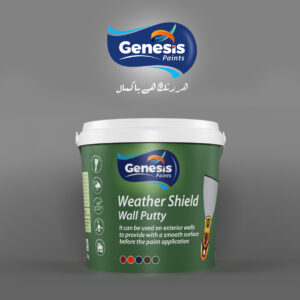 Genesis Weather Shield Wall Putty